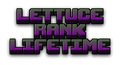 Lettuce - LIFETIME